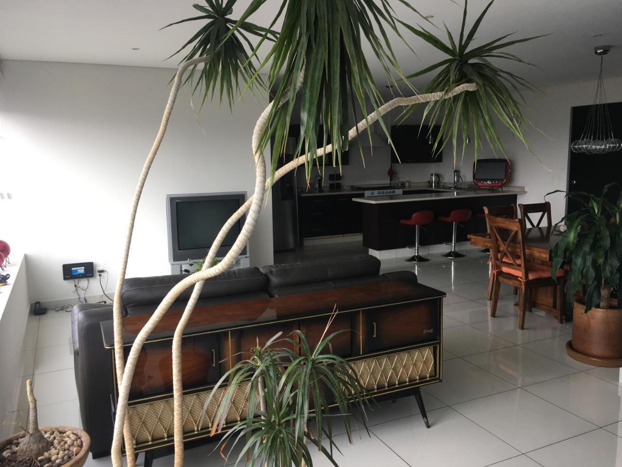 Napoles Condo Suites Mexico By Eksteriør billede